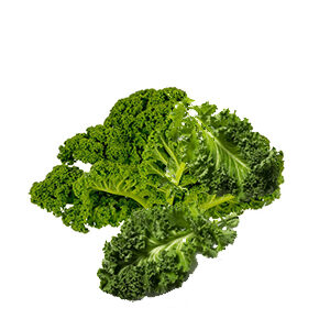 Kale deshidratado de vending